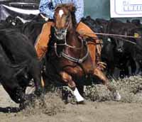 horse