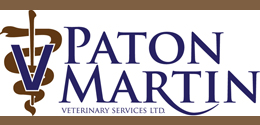 paton&martin